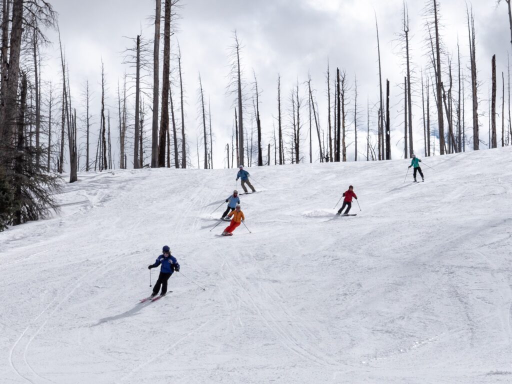 group ski lessons pajarito mountain los alamos nm