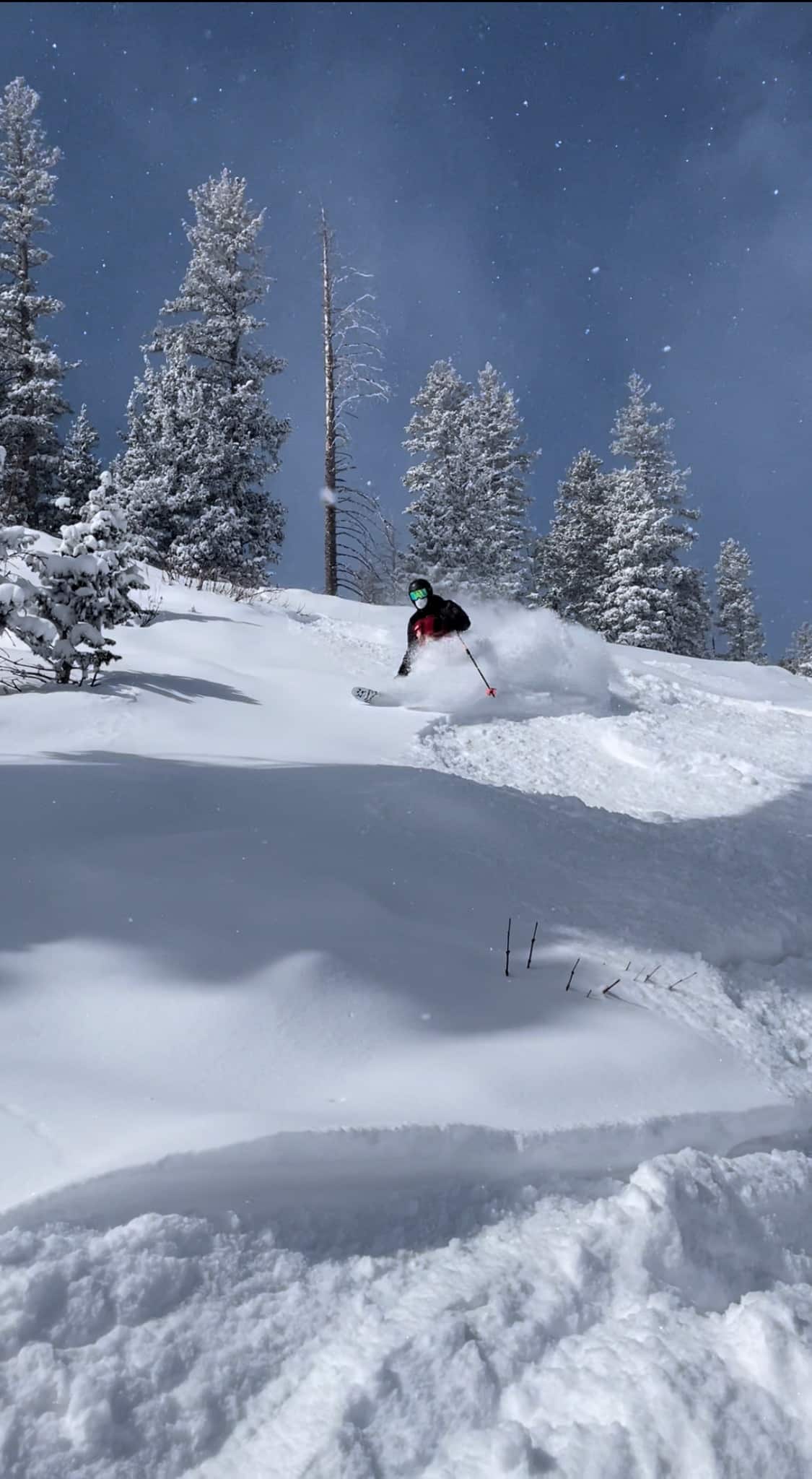 Mountain Stats Pajarito Mountain Ski Area