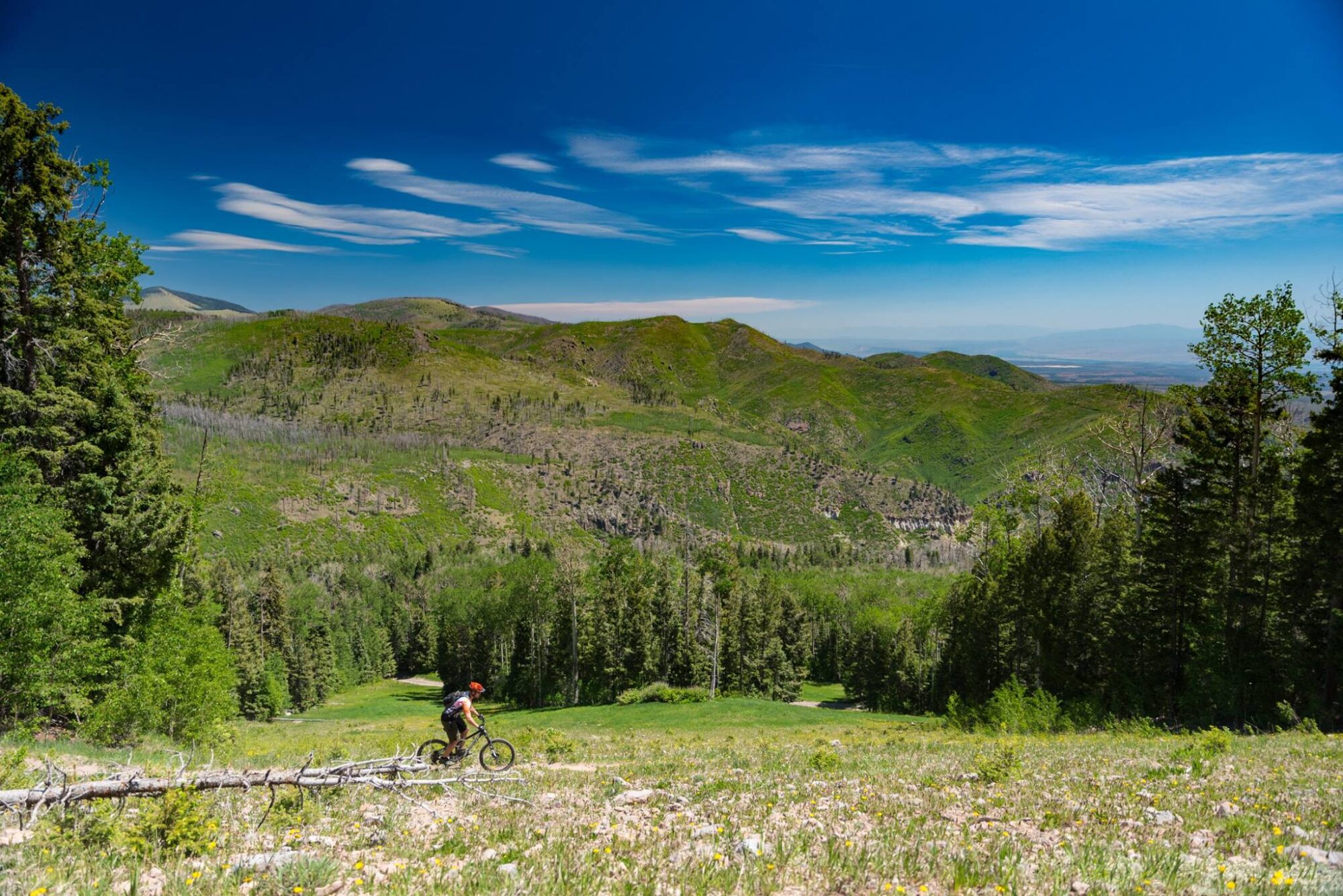 Pajarito Bike Park NM MTB Parks Pajarito Mountain Ski Area