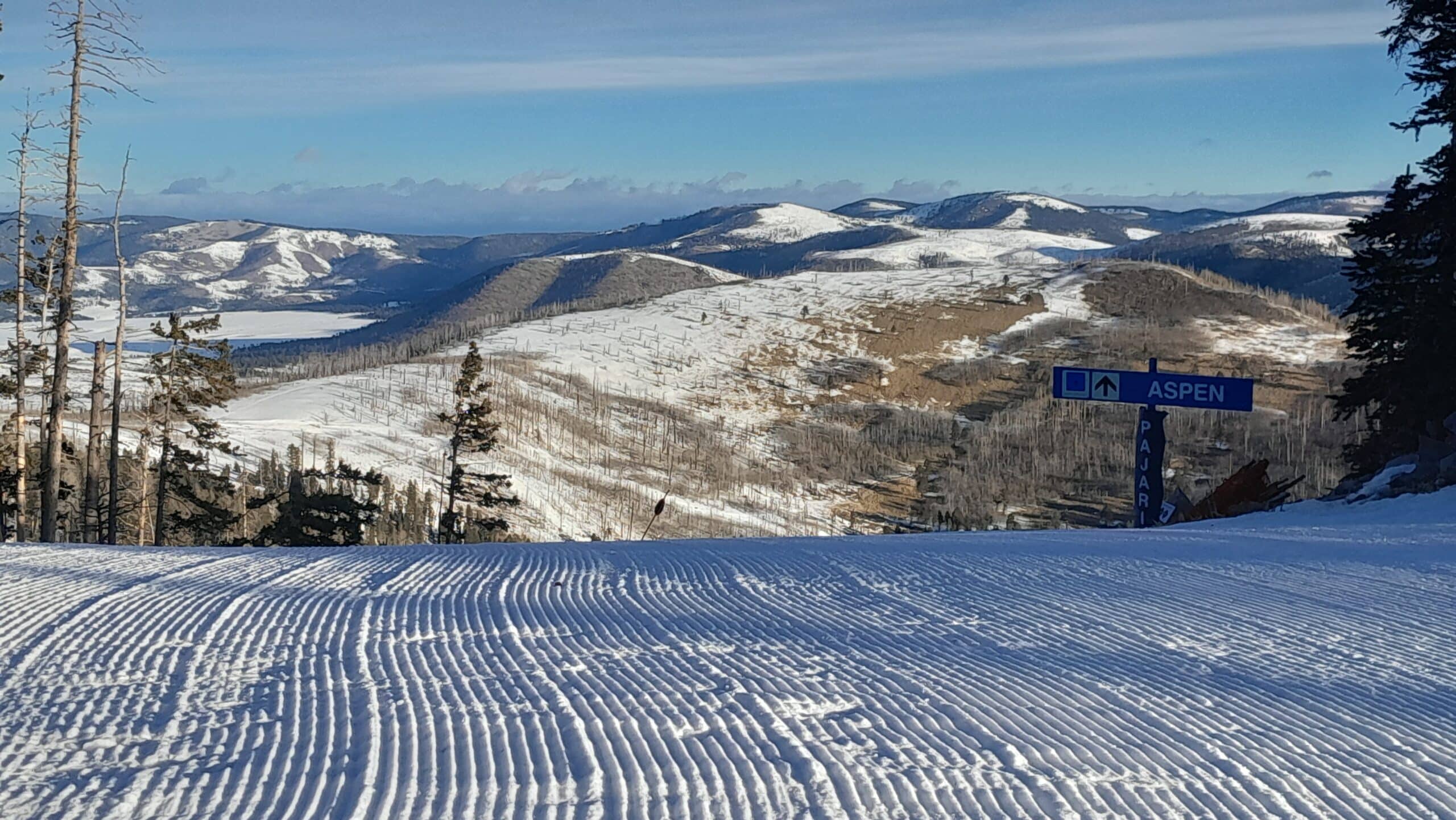 www.pajarito.ski