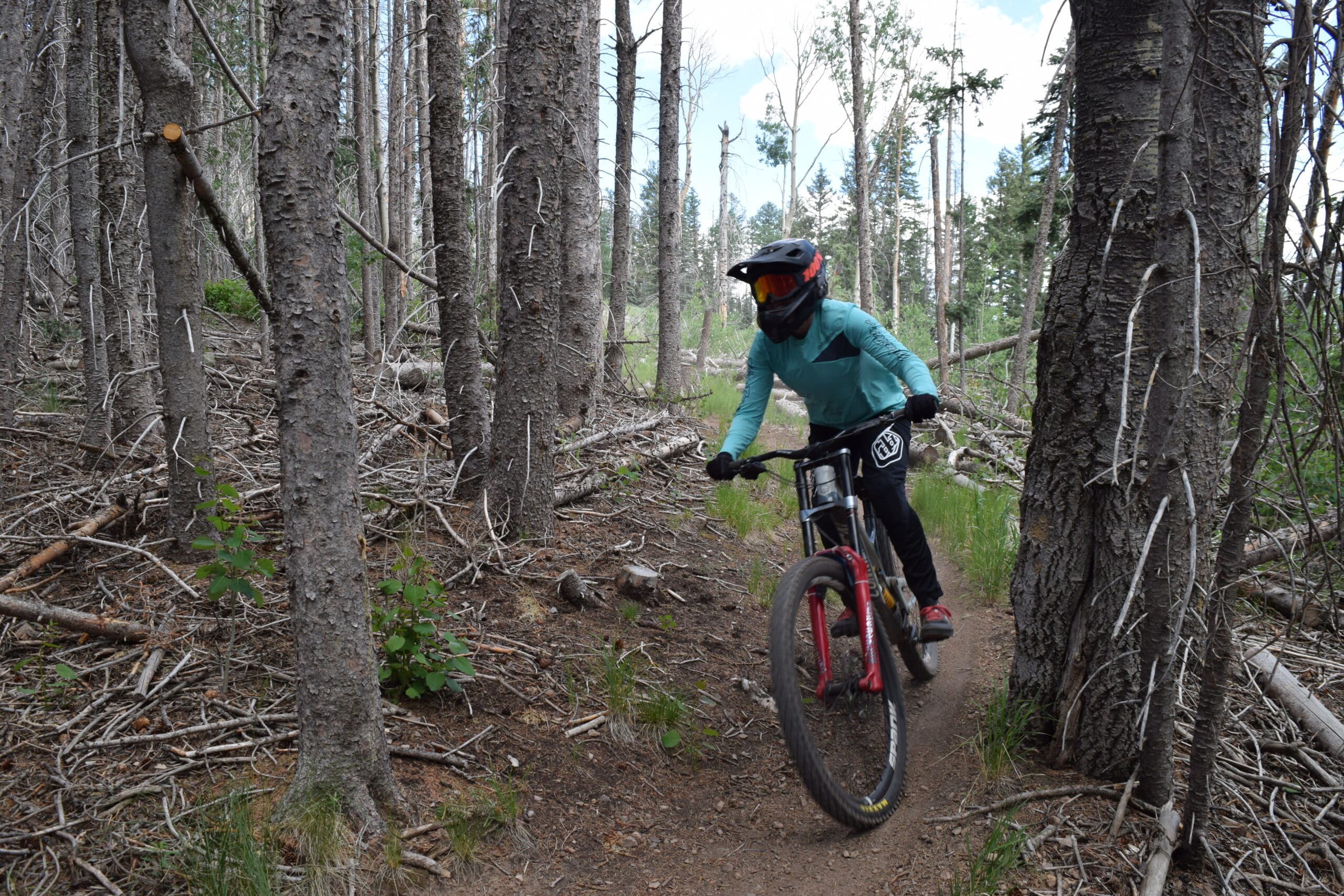 Pajarito Mountain Biking Pajarito Mountain Ski Area
